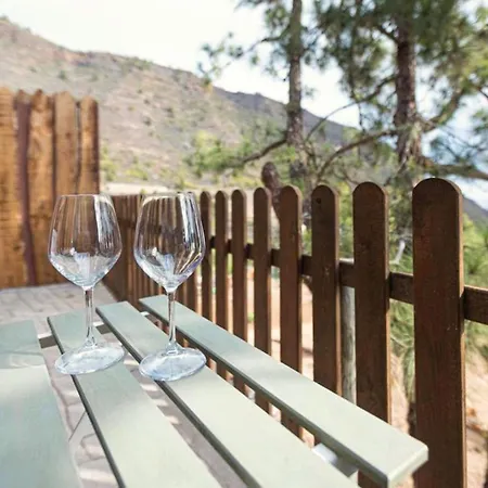Live Estudio Mi Bodega Lejlighed